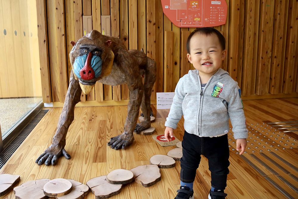 マンドリルと男の子